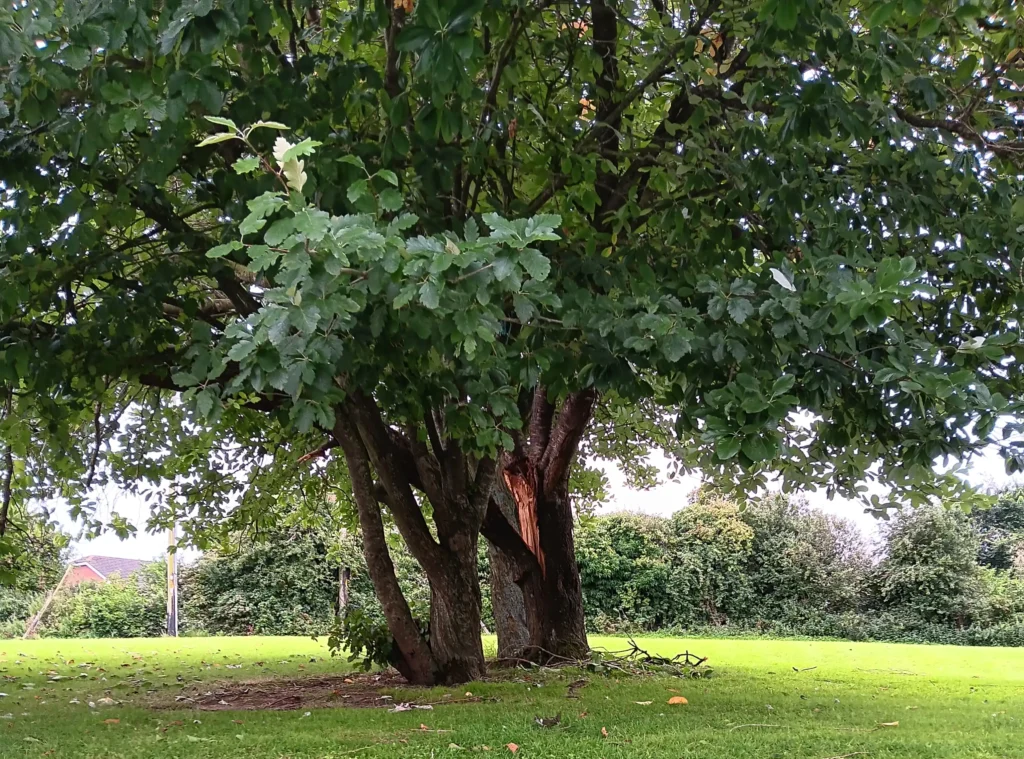 Notice to Residents of Cherrybrook