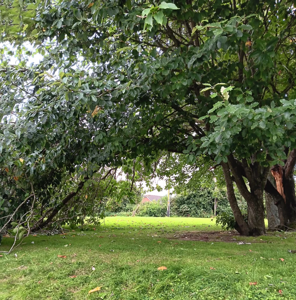 Notice to Residents of Cherrybrook