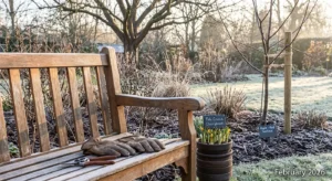February 2026 gardening post