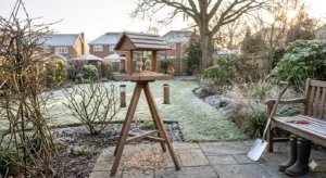 January Winter Care & Planning